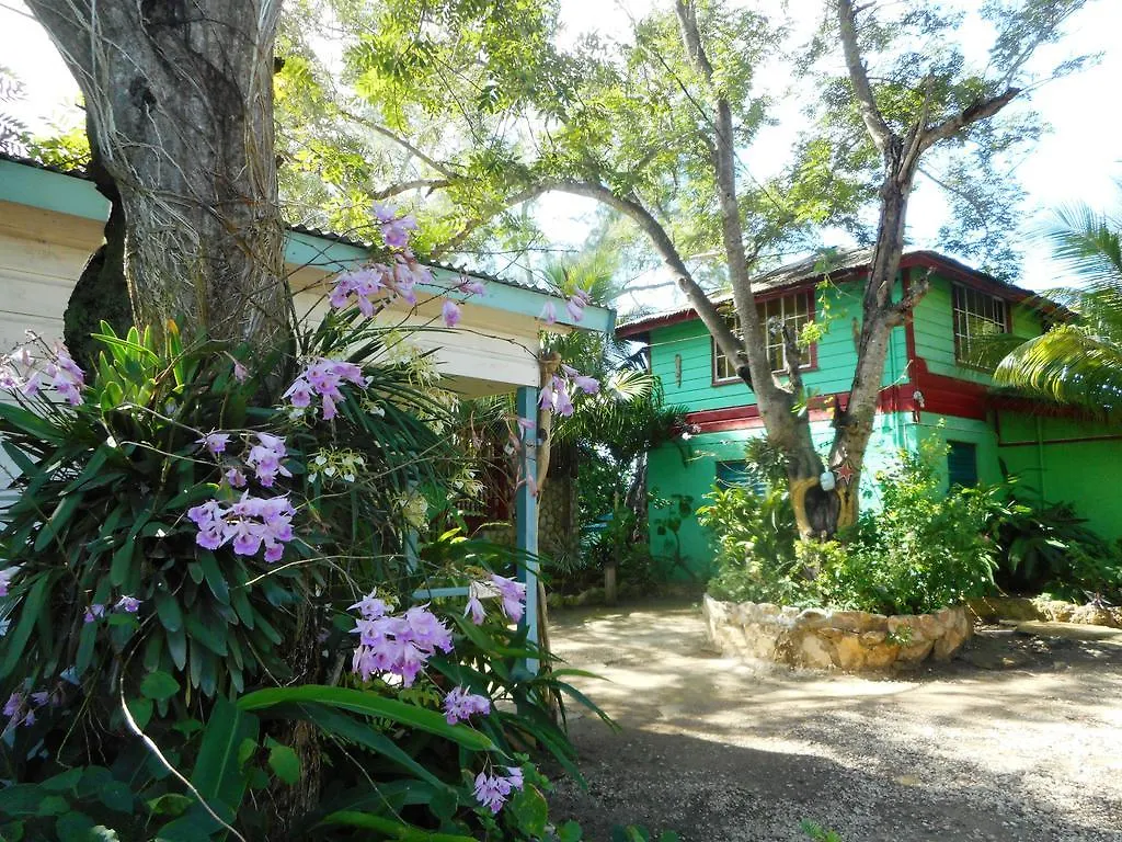 *** Hotel Banana Shout Resort Negril Jamaica